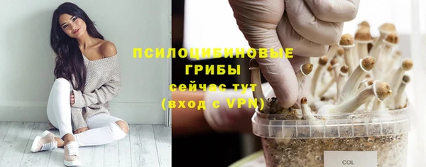 герыч Нязепетровск